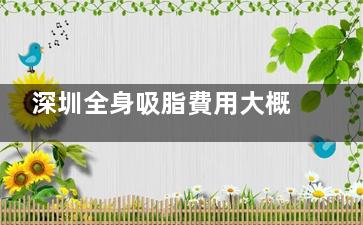 深圳全身吸脂費用大概多少？2026新攻略：費用清單+口碑醫(yī)院真實測評！